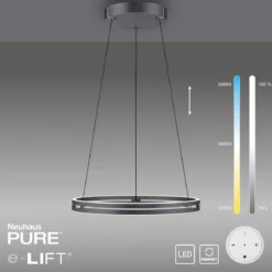 Paul Neuhaus 2551-15 PURE-E-LOOP LED Pendelleuchte mystic grey (grau) elektrisch