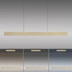 Paul Neuhaus 2570-60 PURE E-MOTION LED Pendelleuchte imperial gold höhenverstellbar