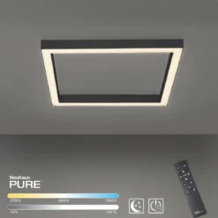 Paul Neuhaus 6022-13 PURE-LINES LED Deckenleuchte graphite CCT