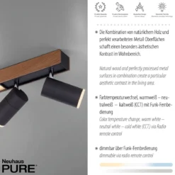 Paul Neuhaus 6121-79 PURE-LINES LED Deckenleuchte oak graphite CCT