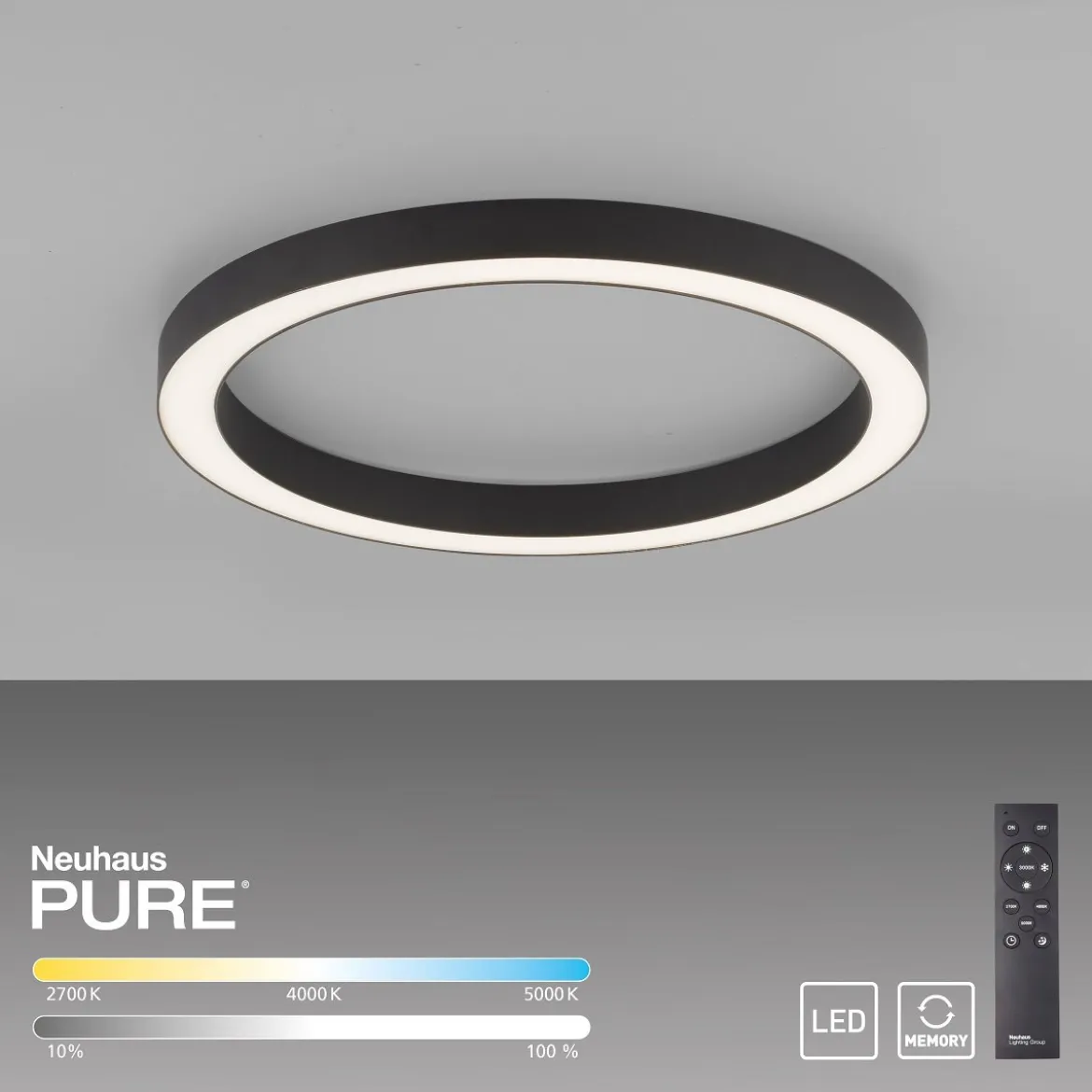 Paul Neuhaus 6309-13 PURE-LINES LED Deckenleuchte graphite CCT 50cm