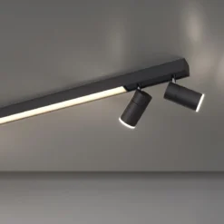 Paul Neuhaus 6121-13 PURE-LINES LED Deckenleuchte graphite CCT