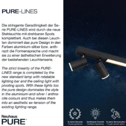 Paul Neuhaus 6121-13 PURE-LINES LED Deckenleuchte graphite CCT