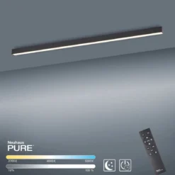 Paul Neuhaus 6021-13 PURE-LINES LED Deckenleuchte graphite CCT