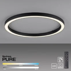Paul Neuhaus 6306-13 PURE-LINES LED Deckenleuchte graphite CCT 70cm