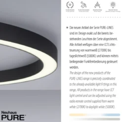 Paul Neuhaus 6306-13 PURE-LINES LED Deckenleuchte graphite CCT 70cm