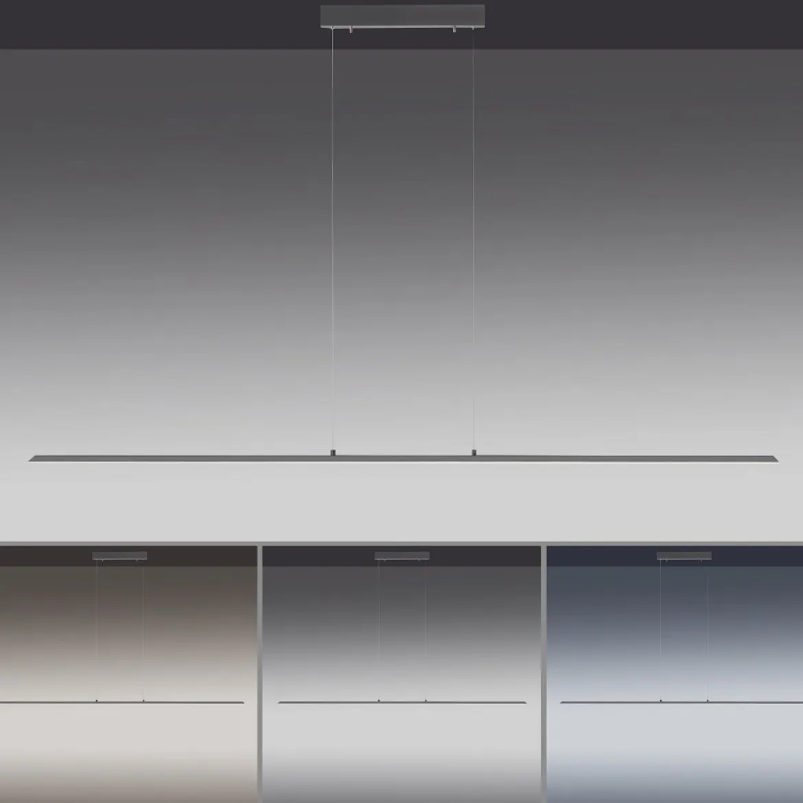 Paul Neuhaus 8377-13 PURE-LITE LED Pendelleuchte graphite CCT 160cm