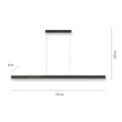Paul Neuhaus 2738-13 PURE-LUME LED Pendelleuchte graphite CCT Sensordimmer