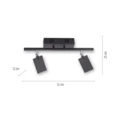 Paul Neuhaus 6354-18 PURE-MIRA LED Deckenleuchte 2-flammig black pearl CCT