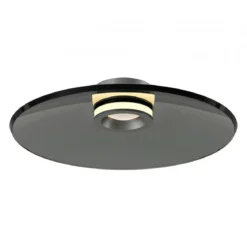 Paul Neuhaus 6095-15 PURE Moon Deckenleuchte platin grau 50cm dimmbar