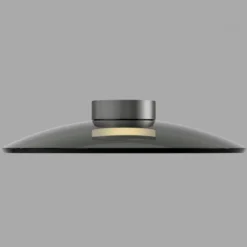 Paul Neuhaus 6095-15 PURE Moon Deckenleuchte platin grau 50cm dimmbar