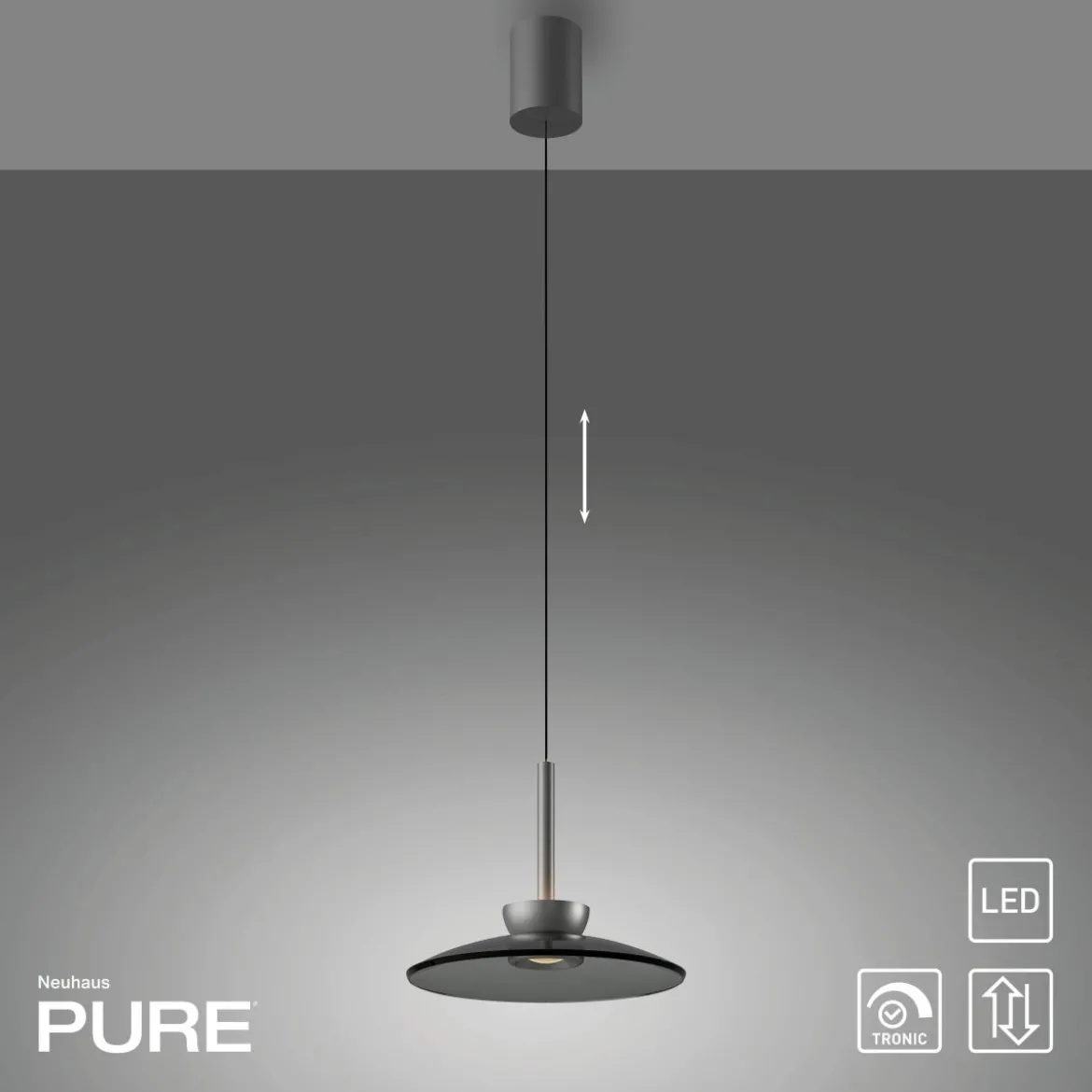 Paul Neuhaus 2191-15 PURE Moon Pendelleuchte platin grau
