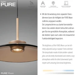 Paul Neuhaus 2194-97 PURE Moon Pendelleuchte bronce 2-flammig