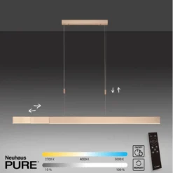 Paul Neuhaus 2525-60 PURE-MOTO e-SLIDE® LED Pendelleuchte imperial gold  CCT