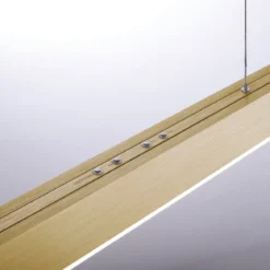 Paul Neuhaus 2525-60 PURE-MOTO e-SLIDE® LED Pendelleuchte imperial gold  CCT