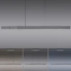Paul Neuhaus 2545-15 PURE MOTO-RISE LED Pendelleuchte platin (grau) höhenverstellbar ausziehbar