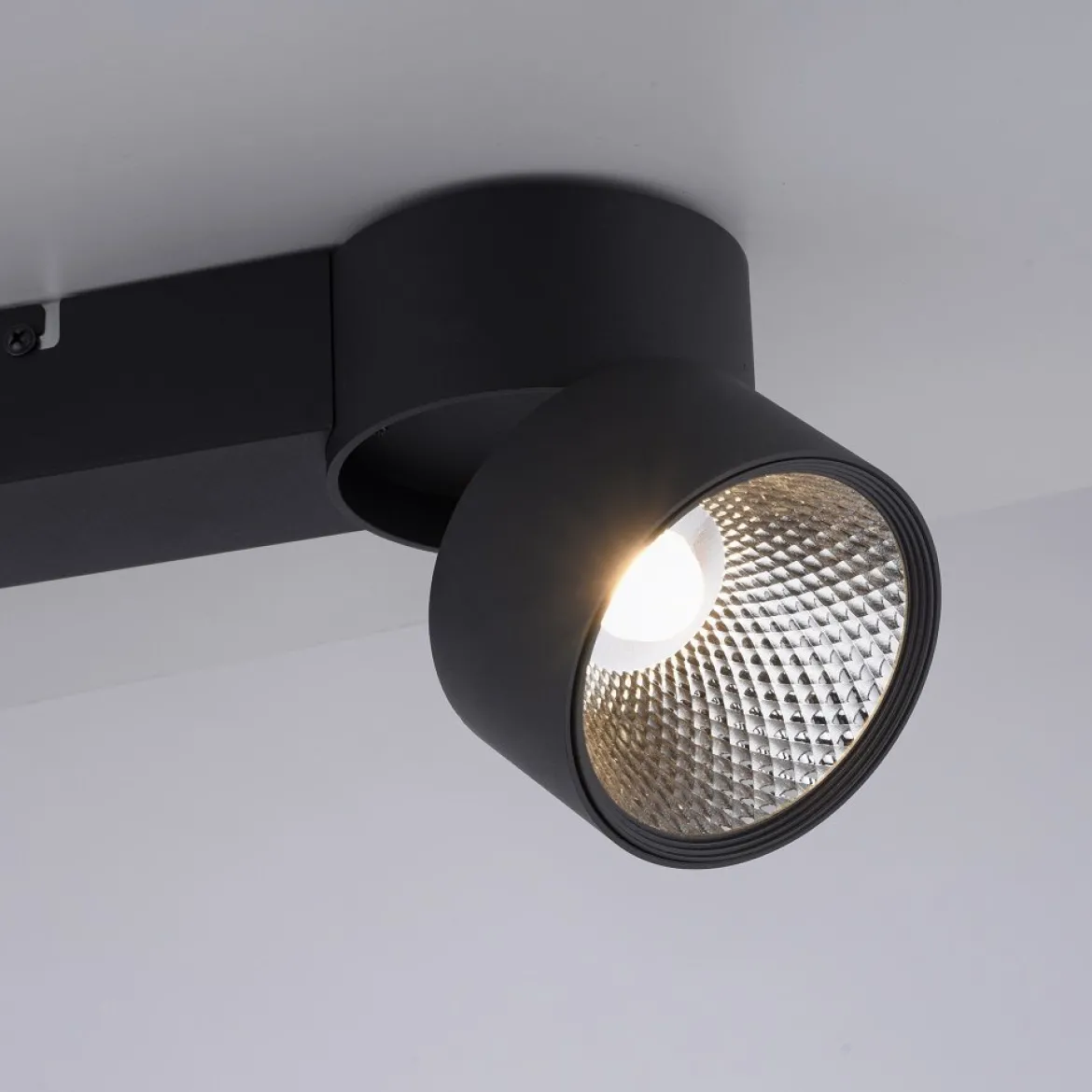 Paul Neuhaus 6452-18 PURE-NOLA LED Deckenleuchte 2-flammig schwarz