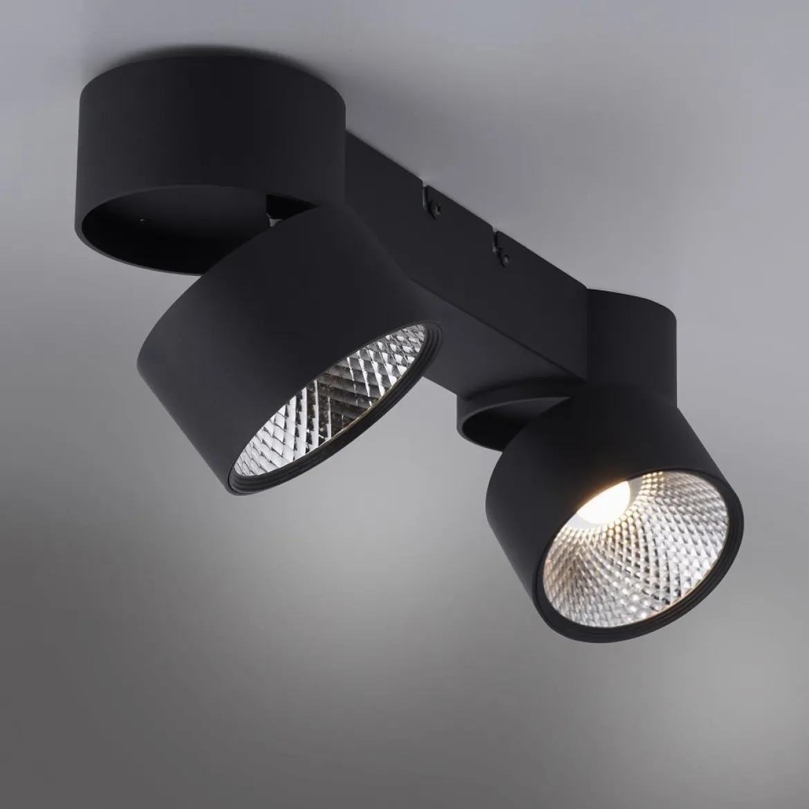Paul Neuhaus 6452-18 PURE-NOLA LED Deckenleuchte 2-flammig schwarz