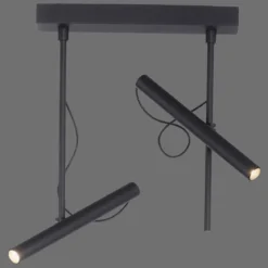 Paul Neuhaus 6068-18 PURE-TUTUA LED Deckenleuchte schwarz dimmbar