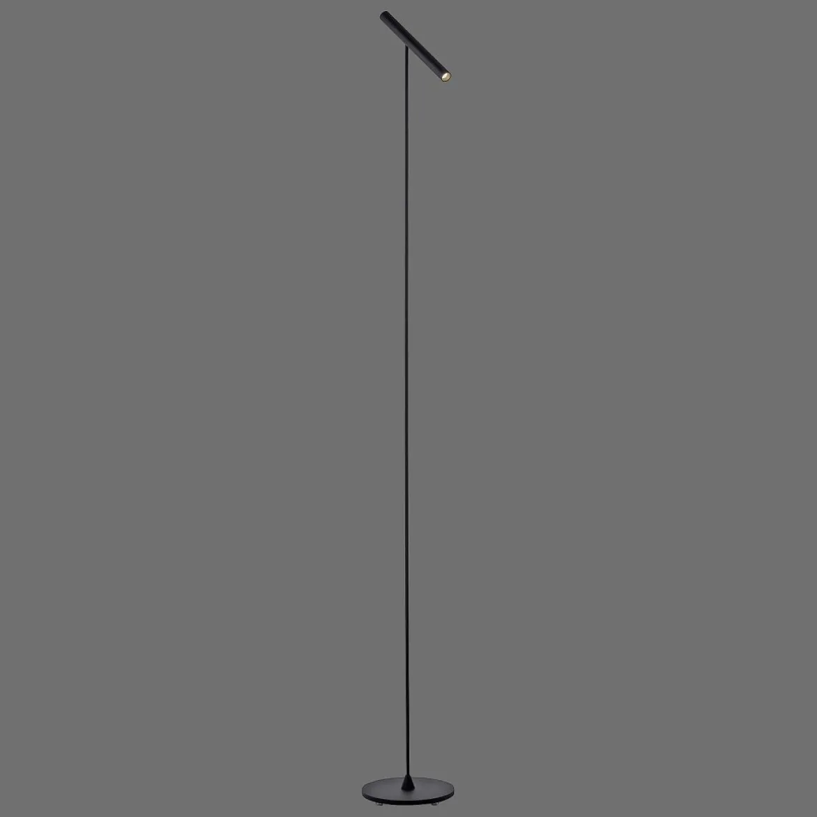 Paul Neuhaus 405-18 PURE-TUTUA LED Stehleuchte schwarz dimmbar
