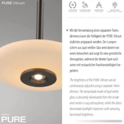 Paul Neuhaus 2053-34 PURE Vitrum Pendelleuchte dark-metal brown dimmbar