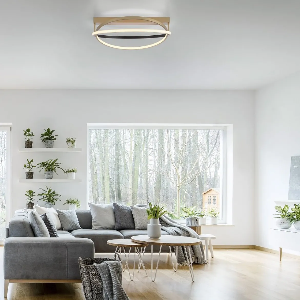 Paul Neuhaus 6739-60 Q-BELUGA LED Deckenleuchte messing schwarz Smart Home