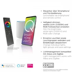Paul Neuhaus 9115-55 Q-FISHEYE Wandleuchte stahl RGBW