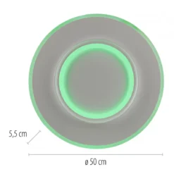 Paul Neuhaus 6503-16 Q-KALINA LED Deckenleuchte weiss