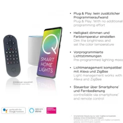 Paul Neuhaus 2741-20 Q-KON Pendelleuchte kupfer 1-flammig Smart Home