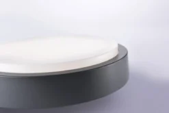 Paul Neuhaus 9650-13 Q-LENNY LED Deckenleuchte anthrazit