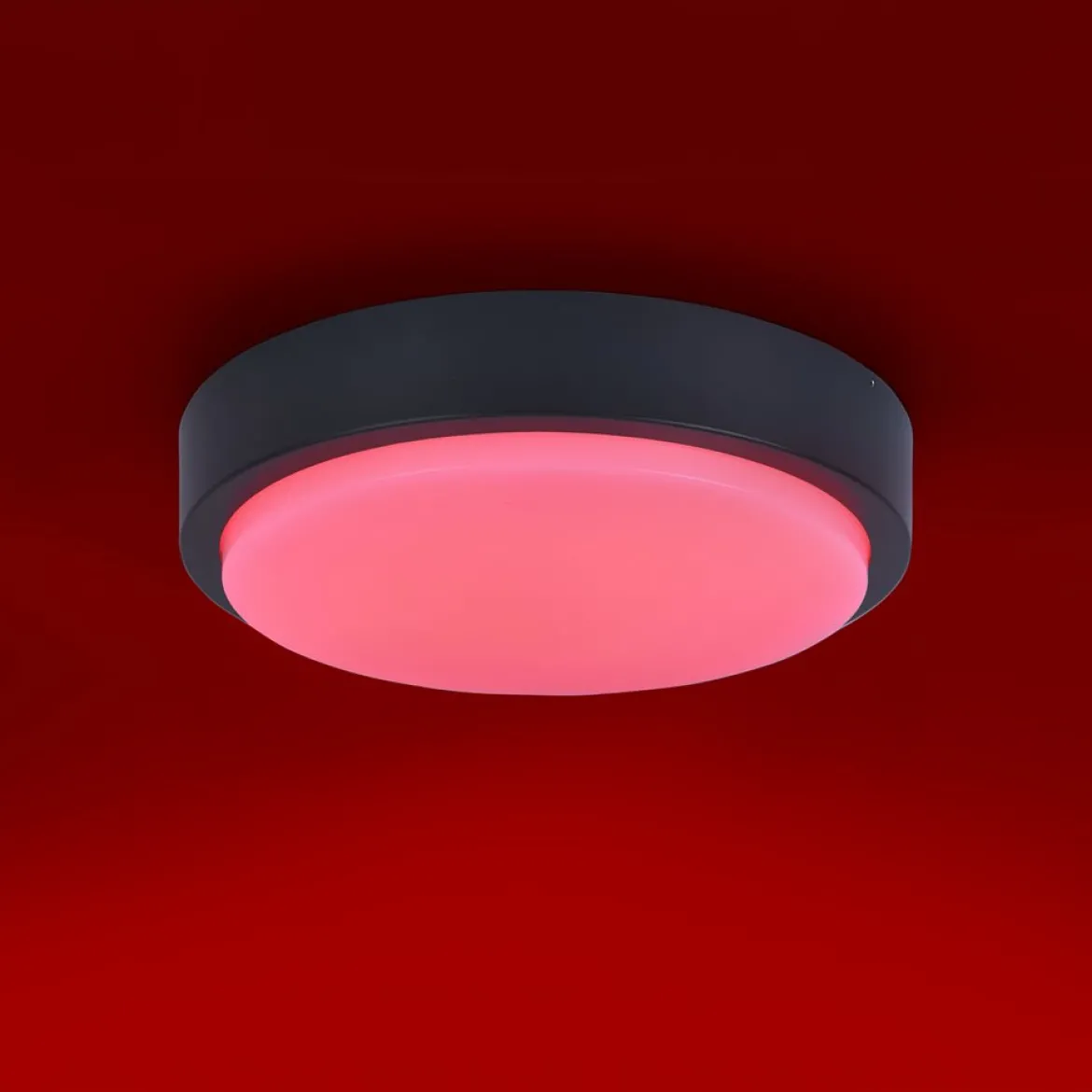 Paul Neuhaus 9650-13 Q-LENNY LED Deckenleuchte anthrazit