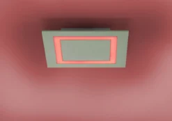 Paul Neuhaus 8160-95 Q-MIRAN Deckenleuchte aluminium