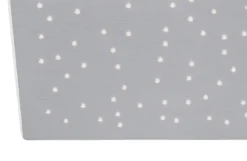 Paul Neuhaus 8039-95 Q-NIGHTSKY Deckenleuchte aluminium quadratisch