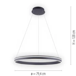 Paul Neuhaus 8412-13 Q-VITO 79 Pendelleuchte anthrazit