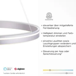 Paul Neuhaus 8412-55 Q-VITO 79 Pendelleuchte stahl