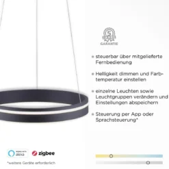 Paul Neuhaus 8410-13 Q-VITO 40 Pendelleuchte anthrazit