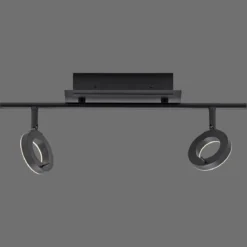 Paul Neuhaus 6781-13 SILEDA LED Deckenleuchte 2-flammig Anthrazit