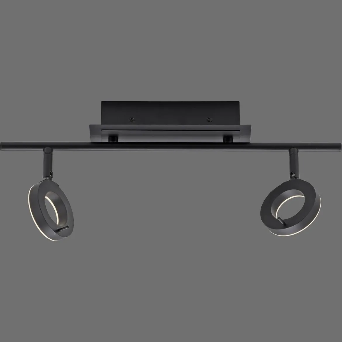 Paul Neuhaus 6781-13 SILEDA LED Deckenleuchte 2-flammig Anthrazit