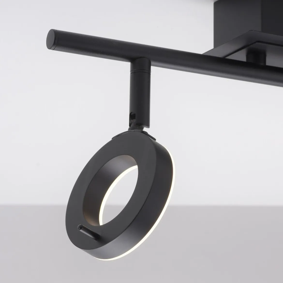 Paul Neuhaus 6781-13 SILEDA LED Deckenleuchte 2-flammig Anthrazit
