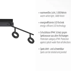 Paul Neuhaus 6786-13 SILEDA LED Deckenleuchte 4-flammig anthrazit