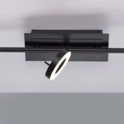 Paul Neuhaus 6785-13 SILEDA  LED Deckenleuchte 3-flammig Anthrazit