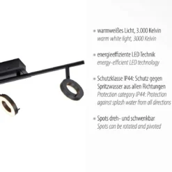 Paul Neuhaus 6785-13 SILEDA  LED Deckenleuchte 3-flammig Anthrazit