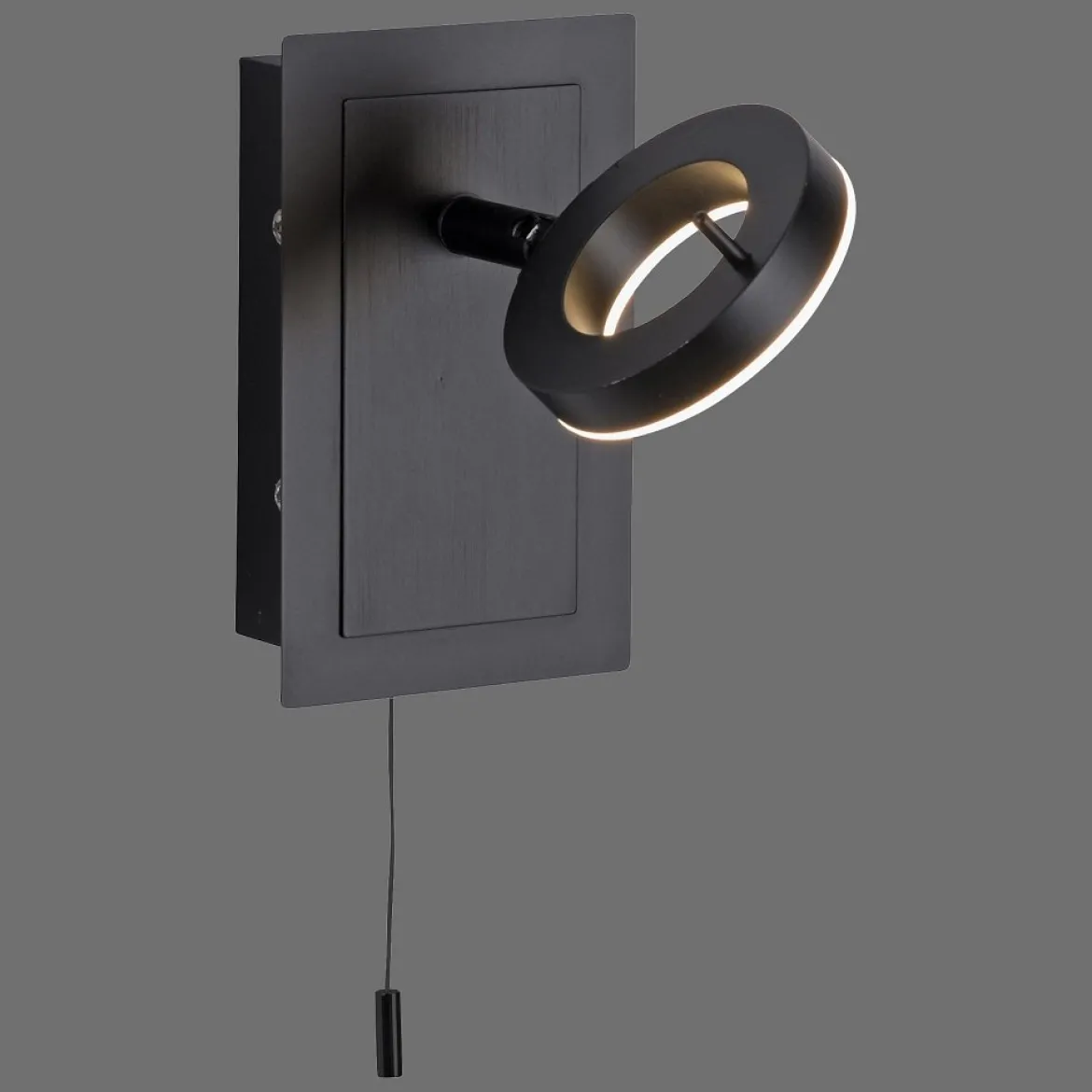 Paul Neuhaus 9785-13 SILEDA Wandleuchte 1-flammig Anthrazit