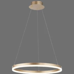 Paul Neuhaus 2382-60 Titus LED Pendelleuchte 60 messingfarben
