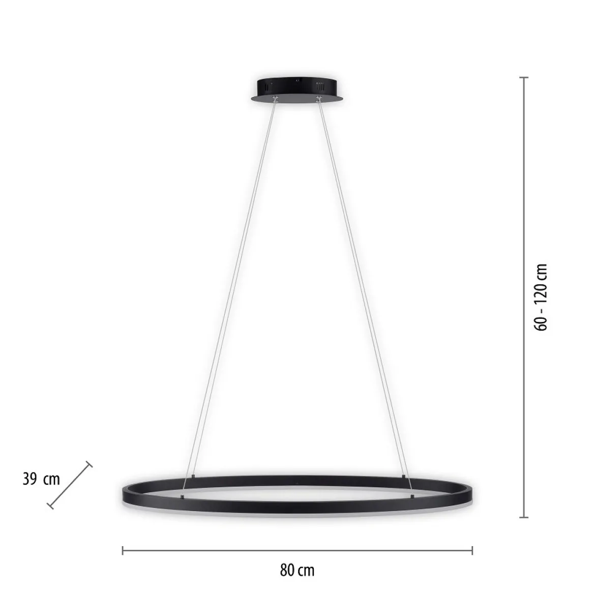 Paul Neuhaus 2392-13 Titus oval LED Pendelleuchte 80cm anthrazit Simply Dim