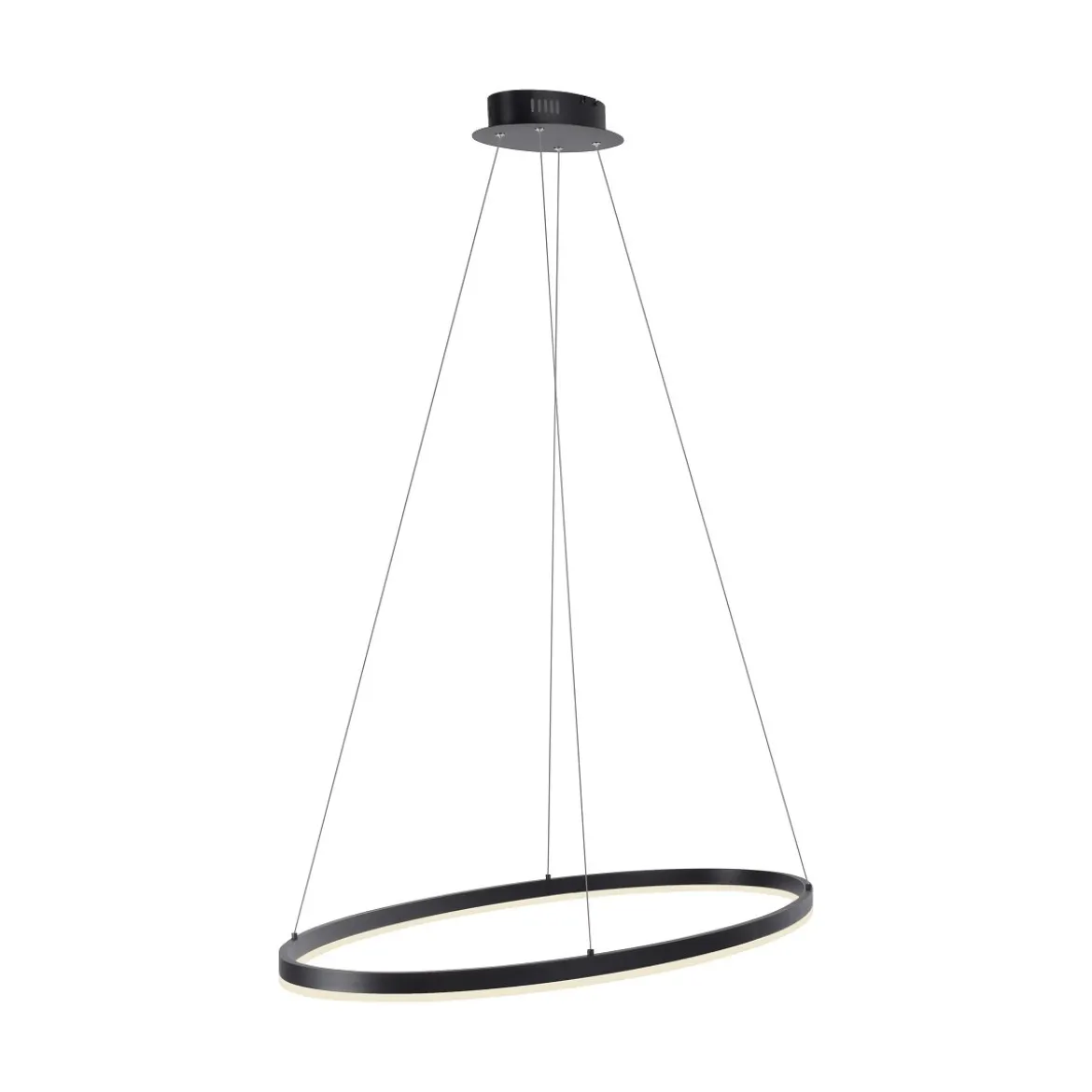 Paul Neuhaus 2392-13 Titus oval LED Pendelleuchte 80cm anthrazit Simply Dim