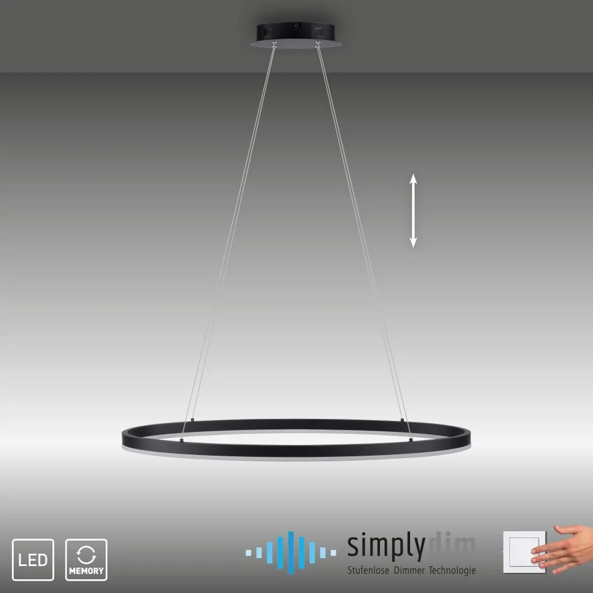 Paul Neuhaus 2392-13 Titus oval LED Pendelleuchte 80cm anthrazit Simply Dim