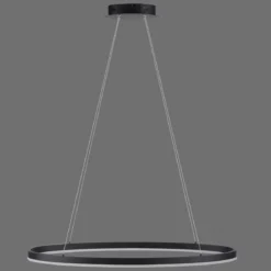 Paul Neuhaus 2392-13 Titus oval LED Pendelleuchte 80cm anthrazit Simply Dim