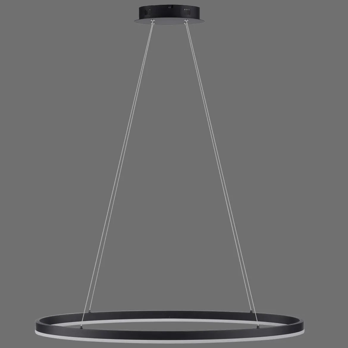 Paul Neuhaus 2392-13 Titus oval LED Pendelleuchte 80cm anthrazit Simply Dim