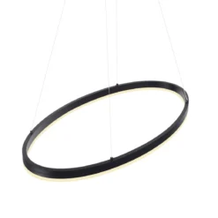 Paul Neuhaus 2392-13 Titus oval LED Pendelleuchte 80cm anthrazit Simply Dim